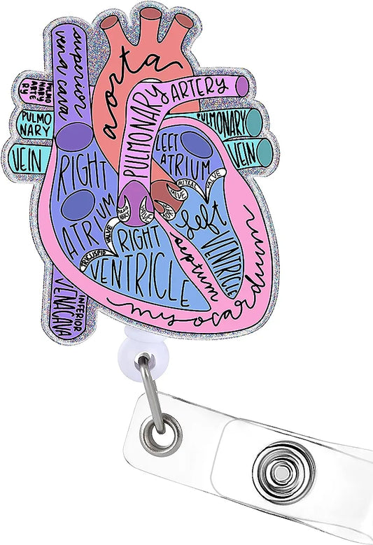 Cardiac Anatomy Retractable Badge Reel